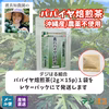【送料込】パパイヤ焙煎茶｜沖縄産（無農薬）