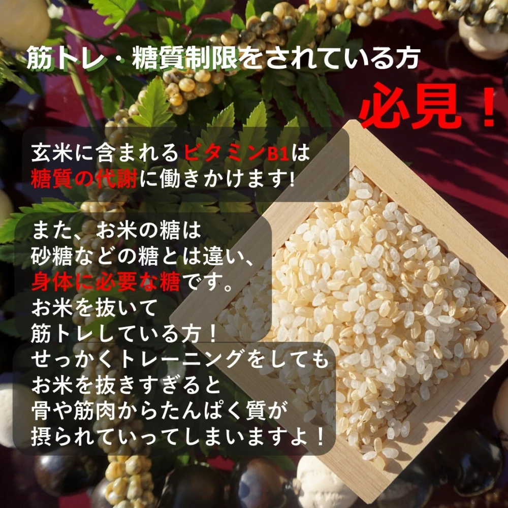 お米 玄米【玄米ササニシキ30kg 】希少米でございます♪身体に優しい♪-