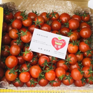 青森県津軽産 ミニトマト