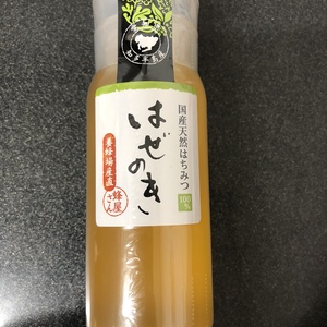 非加熱はちみつ はぜのき 200g 扱いやすいプラ容器