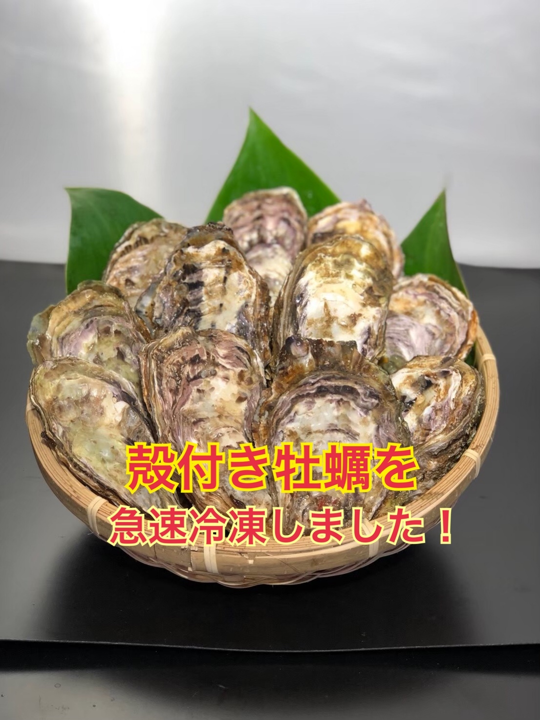 糸島殻付き牡蠣2キロ むき身牡蠣 ガンガンbox 軍手 牡蠣ナイフ付き 農家漁師から産地直送の通販 ポケットマルシェ
