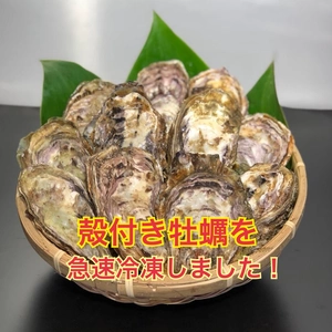 糸島殻付き冷凍牡蠣2キロ（ガンガンBOX、軍手、牡蠣ナイフ付き）