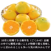 予約品 みかん【品種 ゆら 】  訳ありみかん 西浦みかん 由良みかん