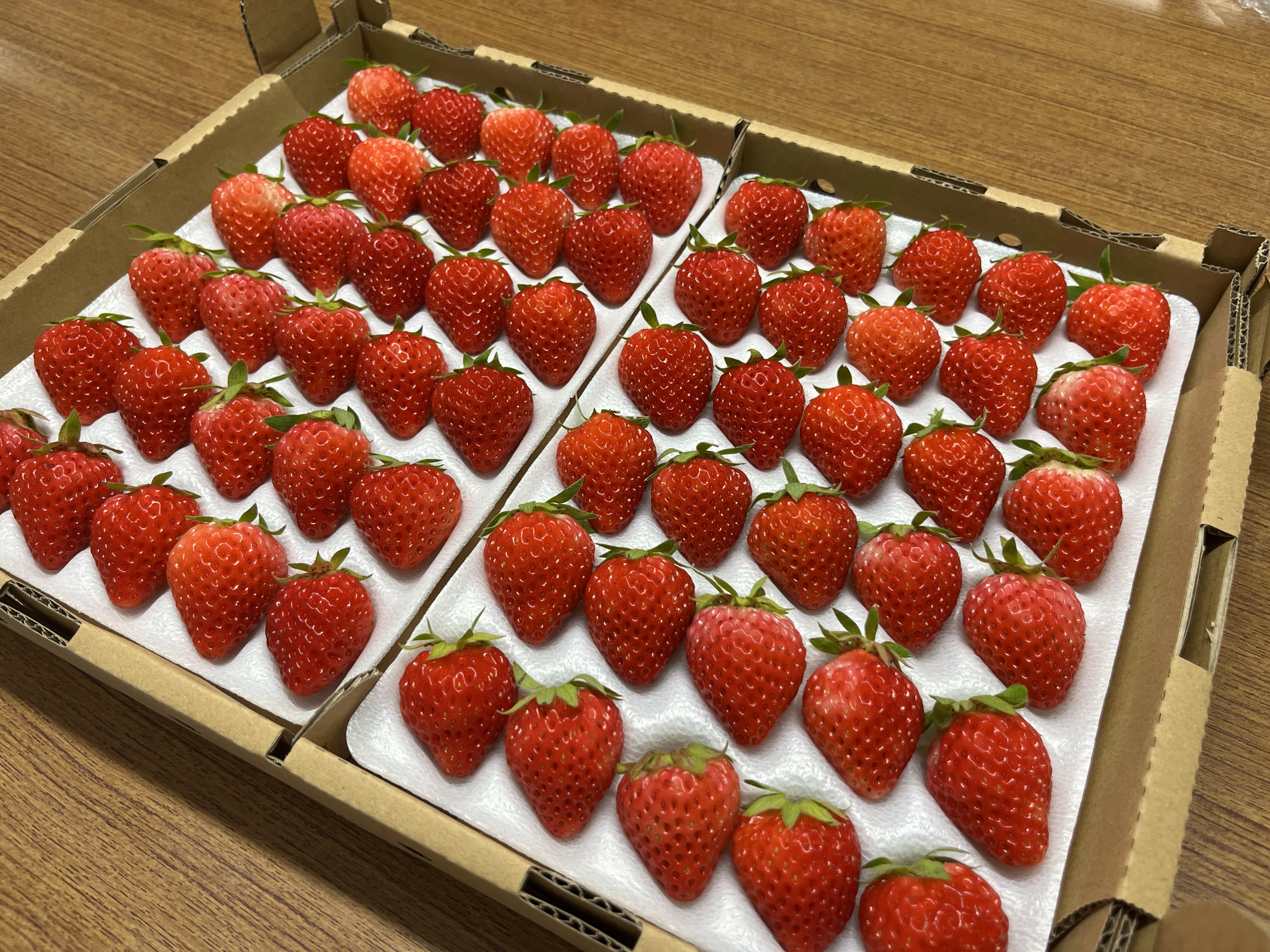夏いちご「サマーリリカル」Mサイズ｜いちごの商品詳細