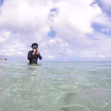 ぱらしゅーとん