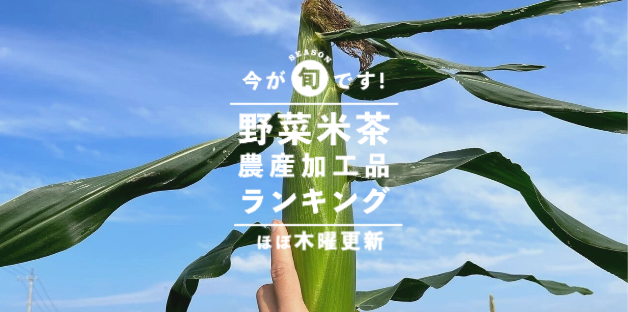 今週の野菜・米 人気ランキング(7/28更新) | 農家漁師から産地直送の