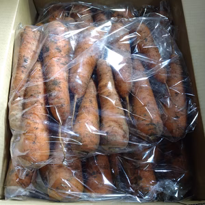 北海道産にんじん❗人参　4.5kg