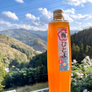完熟梅の風味をギュッと閉じ込めた梅酒「梅ひとよ」500ｍｌ　アルコール20度