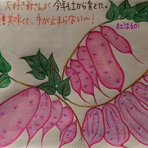 無農薬・無化学肥料栽培【土にこだわったシルクスイート】(熟成完了)