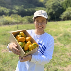 【瀬戸内の恵み！大地の味！】大崎上島産　早生みかん！