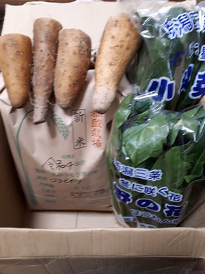 みんなの投稿の画像