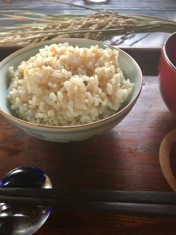 令和元年新米！[合鴨米]玄米5kg 栽培期間中 農薬不使用 熊本県産ヒノヒカリ