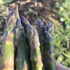 【筋なし自信あり！！】露地アスパラガス！！　Lサイズ中心　1kg 　