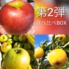 【ご好評につき第２弾！】10月旬のりんご食べ比べBOX♪