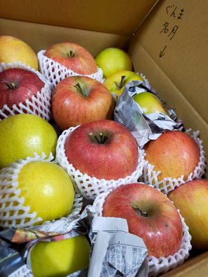 みんなの投稿の画像