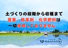 【令和７年産】冷めてもおいしい！【有機JAS】（風さやか/玄米）やめのおおきみ