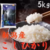 コシヒカリ&つきあかり10kg    (白米)    　令和二年産