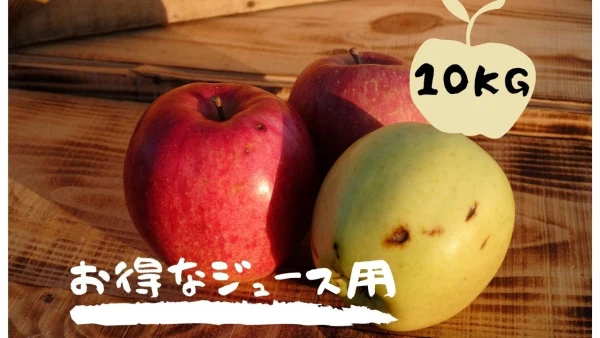 規格外のりんごだからお買い得！ジュース用・加工用青森りんご　10kg