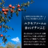 青森県産りんご　完熟自然オリジナル農法りんご栽培家庭用葉とらずサンふじ3kg