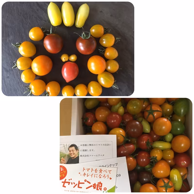 みんなの投稿の画像