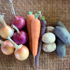 野菜【農薬・化学肥料不使用】カラフルカレーセット じゃがいも 人参 玉葱