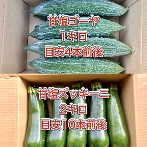 【鹿児島産】甘塩ゴーヤ1キロ・甘塩ズッキーニ2キロ^_^