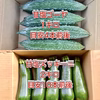 【鹿児島産】甘塩ゴーヤ1キロ・甘塩ズッキーニ2キロ^_^