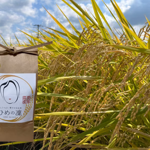 ✨令和７年産✨ﾌﾟﾚﾐｱﾑｸｵﾘﾃｨ認定5㎏(白米)｢ひめの凜｣一等米