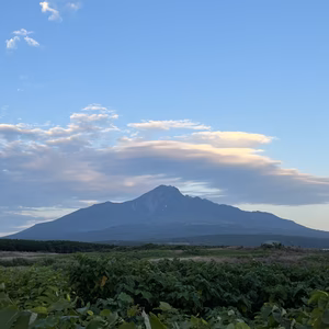 sosuke様専用ページ