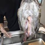 魚介類大好き太郎