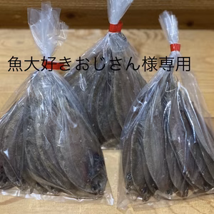 魚大好きおじさん様専用