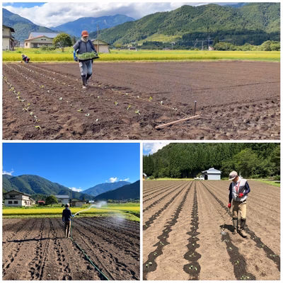 みんなの投稿の画像