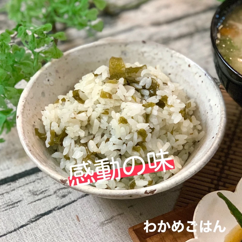 【秋の食欲があなたを救う】大容量 玄界灘産 塩蔵わかめ ２０袋 海藻