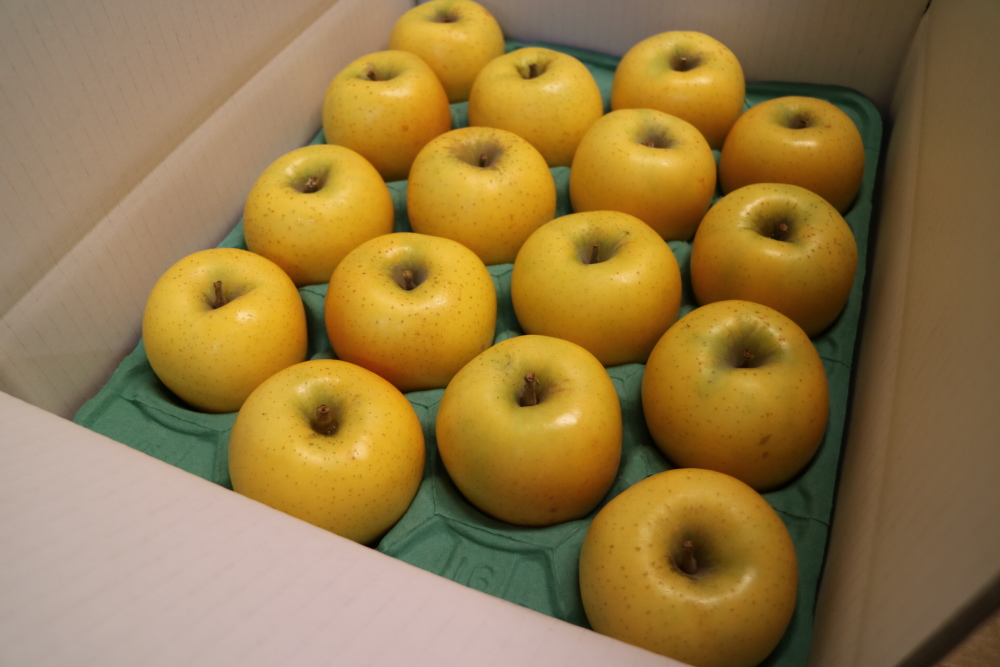 [シャッキシャキ]シナノゴールド 約3kg〜10kg 約3キロ箱(8〜12個)