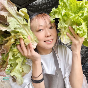 信州産｜箱いっぱい！リーフレタス詰め放題