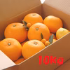 【春の福袋】特別栽培　低農薬「甘夏みかん」10kg