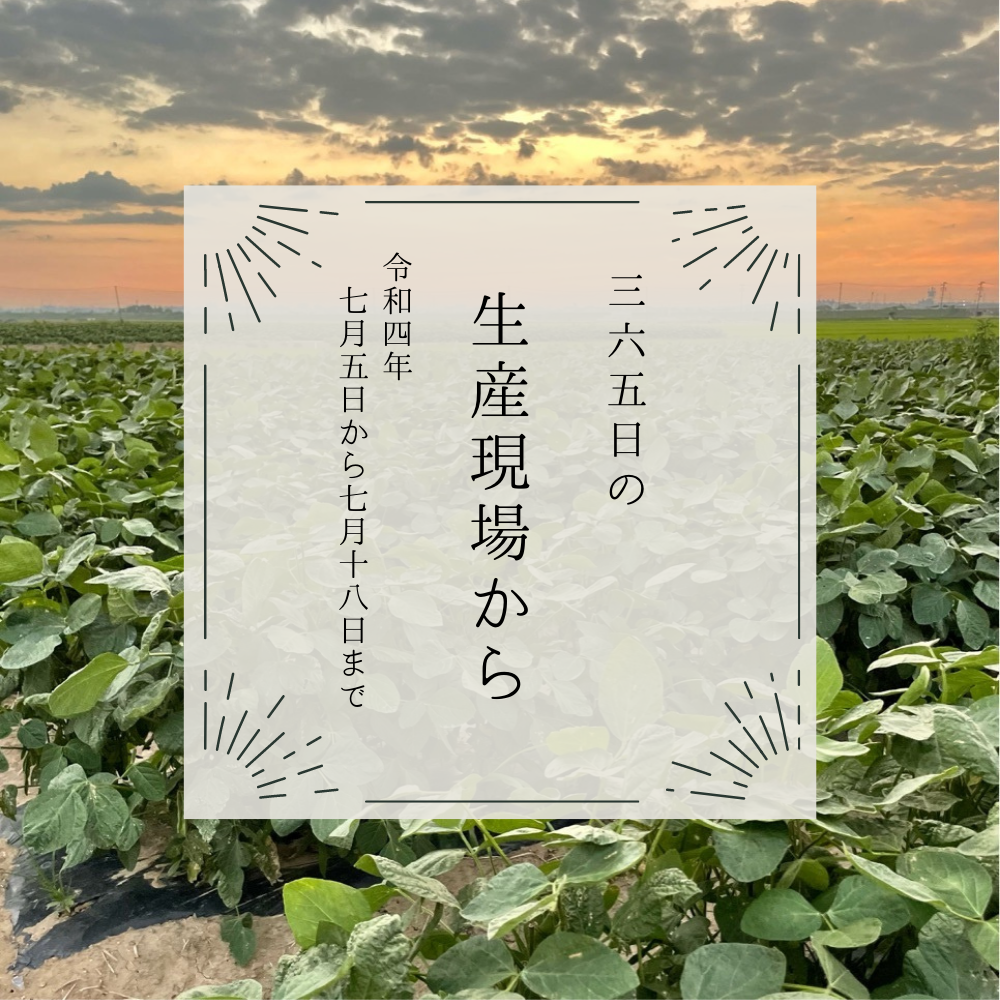 7月5〜18日の生産現場から、大暑の37投稿！ | 農家漁師から産地直送の