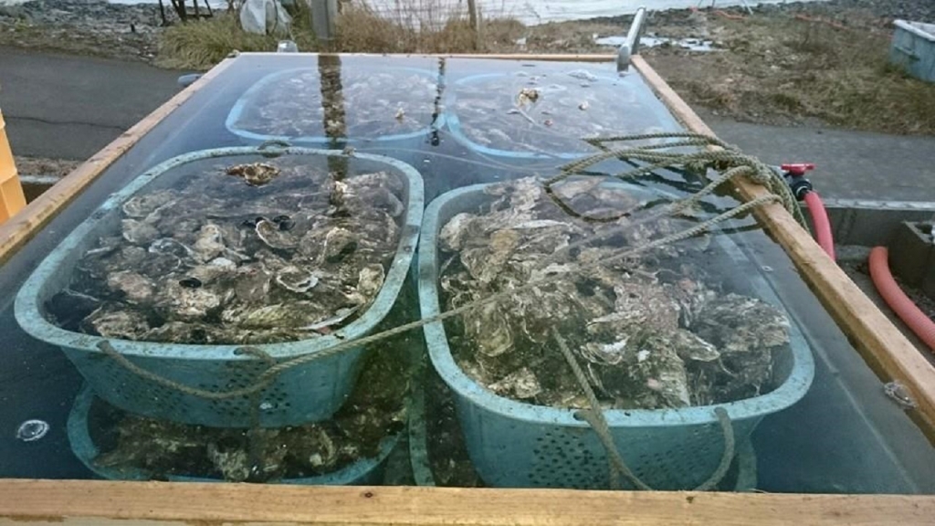 12717583_885081591589048_4424314116229029540_n