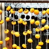 自宅で作る干し柿セット♪