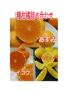 期間限定20！春柑橘【あすみ メロゴールド 麗紅】 3種類セット  