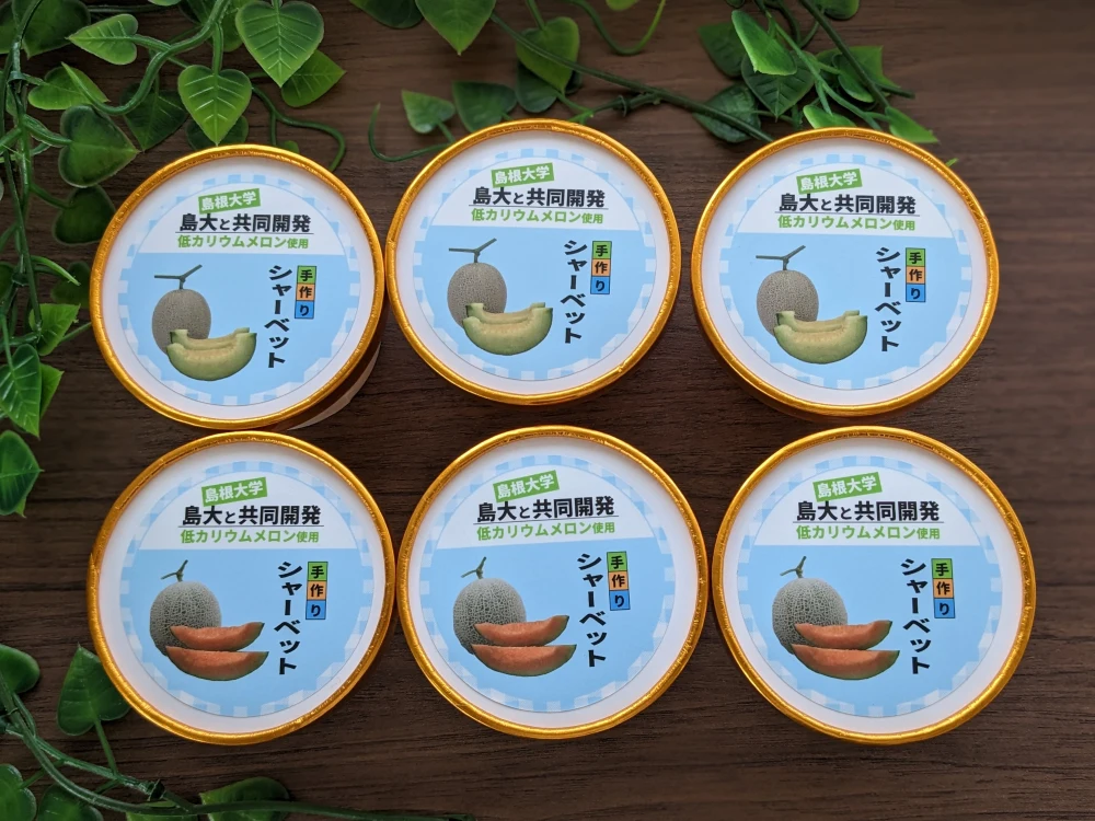 ◤低カリウム◢しまね夢メロンを使用したシャーベットセット