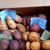 カラフルじゃがいも4種　食べ比べセット