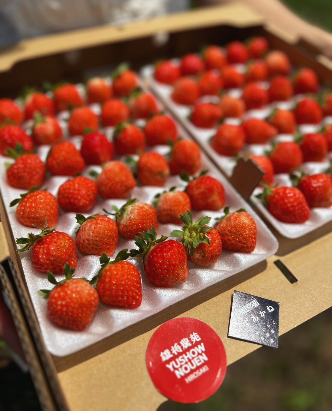 【いちご】 まとめ買い商品 楽天市場】[静風] いちご菓子 恋するいちご 10個 赤箱入り