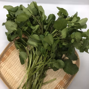 脇山清流クレソン　5袋セット