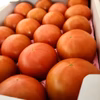 【規格外】大きいトマトだから美味しい！大玉トマト4㎏箱　