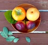 ドライフルーツ3種類『いちじく・梨・柿』