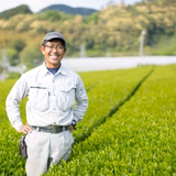 藤田 匠 | 山翠園　藤田製茶