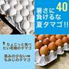暑さに負けるな、夏タマゴ‼　×40個(若鶏×10＋もみじ×30個)