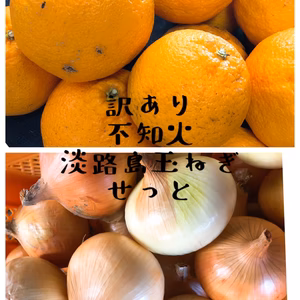 訳あり不知火・淡路島玉ねぎセット