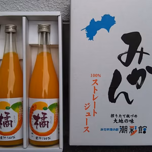 みかんジュース3本＆春みかん&野菜おまけセット